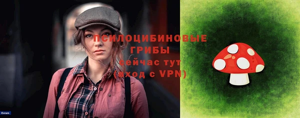 МДПВ Волоколамск
