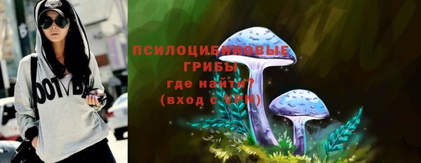сатива Волосово