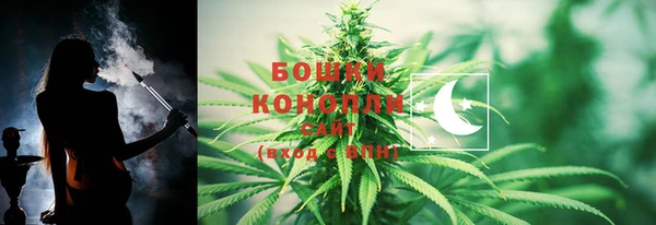 МДПВ Волоколамск