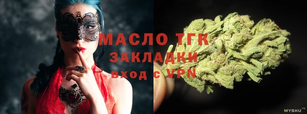ECSTASY Горняк