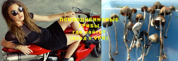 бутират Горнозаводск