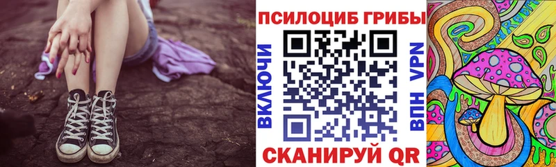 Галлюциногенные грибы Psilocybine cubensis  Ефремов 